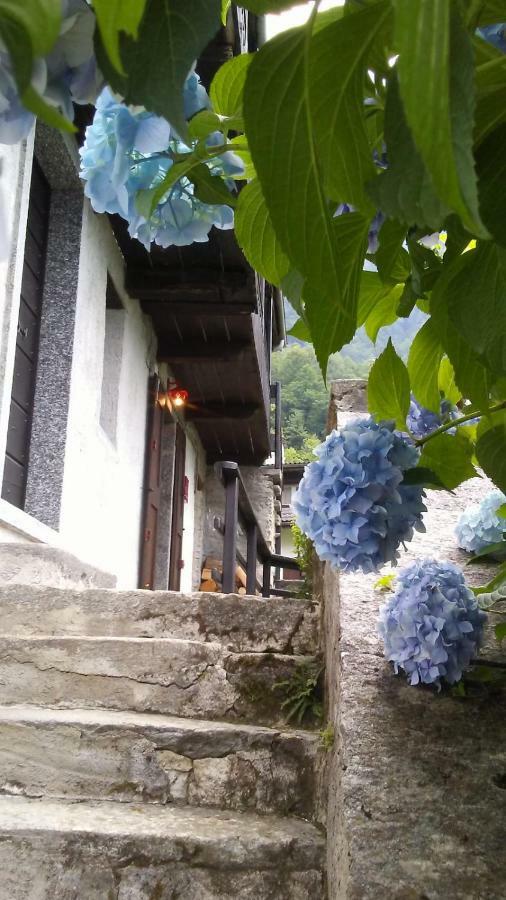 Casa Zizi Villa Crodo Kültér fotó